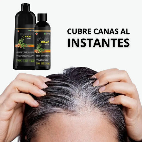 SHAMPOO CHAO CANAS +TRATMIENTO
